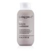 No Frizz Leave-In Conditioner (For Dry or Damaged Hair) - As Picture