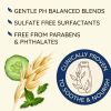 Aveeno Fresh Greens Blend Natural Volumizing Shampoo, Cucumber, Rosemary, for Fine Hair, 12 fl oz - Aveeno