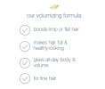 Dove Volume & Fullness Shampoo For Flat Hair 20.4 fl oz - Dove